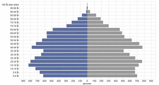 som samfunn Befolkningen etter kjønn og alder 1.1. 2015 Kilde: SSB. Befolkningspyramiden for kommune viser at vi har relativt få innbyggere i aldersgruppen 25-39 år.