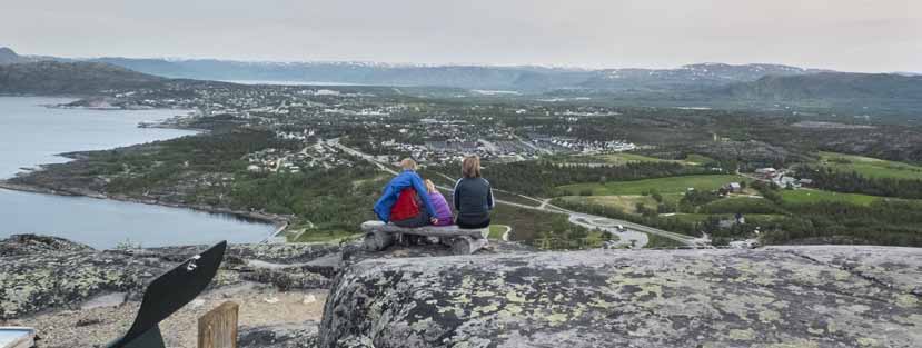 Økonomisk resultat 6. Økonomisk resultat Det regnskapsmessige resultatet viser et merforbruk på 2,998 mill.