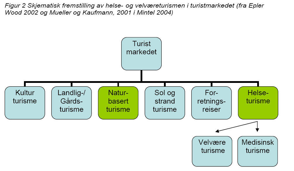 Velværeproduktene er dynamiske og endrer seg i takt med trender og moter. Målgruppen er noe yngre enn for annen sunnhetsturisme.