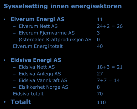 Side 19 av 20 For nettselskapet er den vesentligste verdien tjenestekjøp i forbindelse med anleggsvirksomheten.