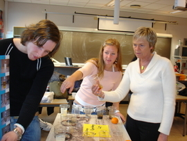 Den vitenskapelige metoden, "forskerspiren" fra A til Å 6. april stilte elevene i klasse 4PÅA opp sine naturvitenskapelige prosjekter i en egen utstilling på skolen.