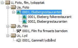 innen arkiv. Hvis du ikke gjør et aktivt valg nummereres lagringsenhetene innen serie. Du må endre Lagringsenheter: Nummerering innen arkiv i Annet-fanen før du lagrer arkivet første gang.