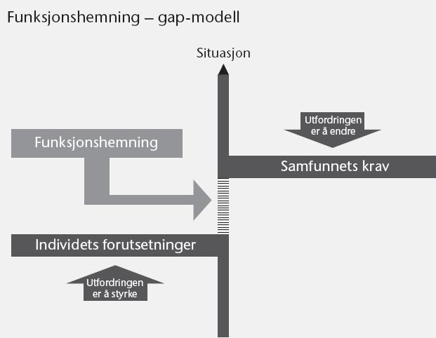 10 Funksjonshemmede For alle grupper funksjonshemmede som berøres vil innsatsen fra kommunen kunne defineres som enten habilitering eller rehabilitering.