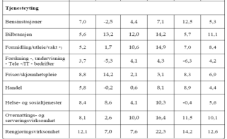 Utfordringene til denne bransjen er preget av en hektisk hverdag hvor høyt sykefravær, høy turnover, lav status, flerkulturelle forhold, språklige barrierer, økende kunde- og myndighetskrav osv.