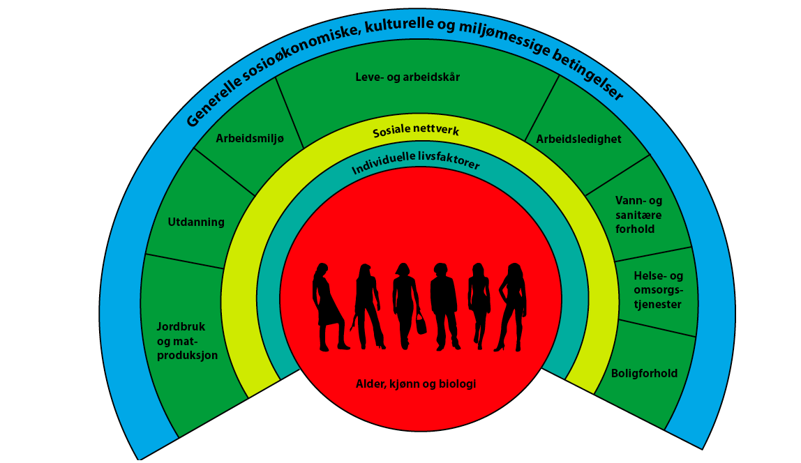 3 Bakgrunn 3.1 Hva er folkehelse? Folkehelsen er helsetilstanden i en befolkningsgruppe.