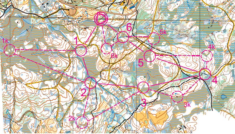 Vi fikk til bra opplegg som så ut å være både morsomme og hvor ungdommene fikk trene orientering og