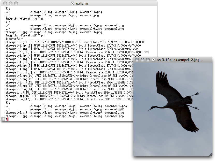 ls - lister filer i mappen mogrify -format - konverterer til formatet angitt etter -format identify - identifiserer og angir filen(e)s egenskaper Konverteringen av bildene kan utføres fritt