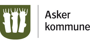 .. 4 Saker som tas opp i TFS-møtet... 5 Møtehyppighet... 5 Deltakere... 5 Møtedeltakernes rolle... 5 TFS-MØTETS GANG... 6 Forberedelse av saker til TFS-møtet... 7 Gjennomføring av møtet.