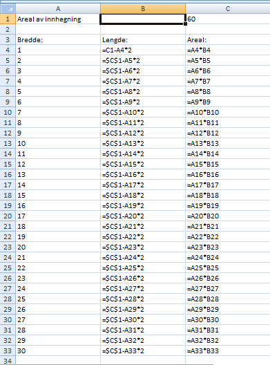 Problem som oppstod Elevane starta med å skrive inn tekst og tala 1 og 2 under breidde.