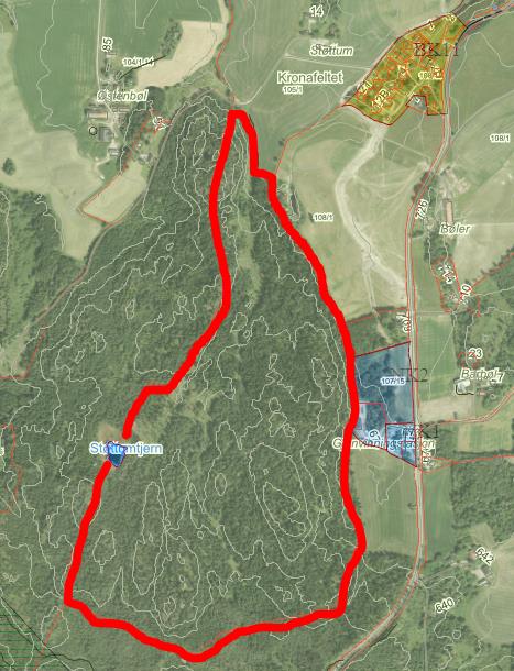 42 Støttumåsen (del av gnr/bnr 105/1) Gjeldende formål: Landbruk, natur og friluftsliv Gjeldende forhold: Skog Foreslått formål: Bolig Arealstørrelse: ca 492 daa Boligpotensiale: ca 500 (rådmann)