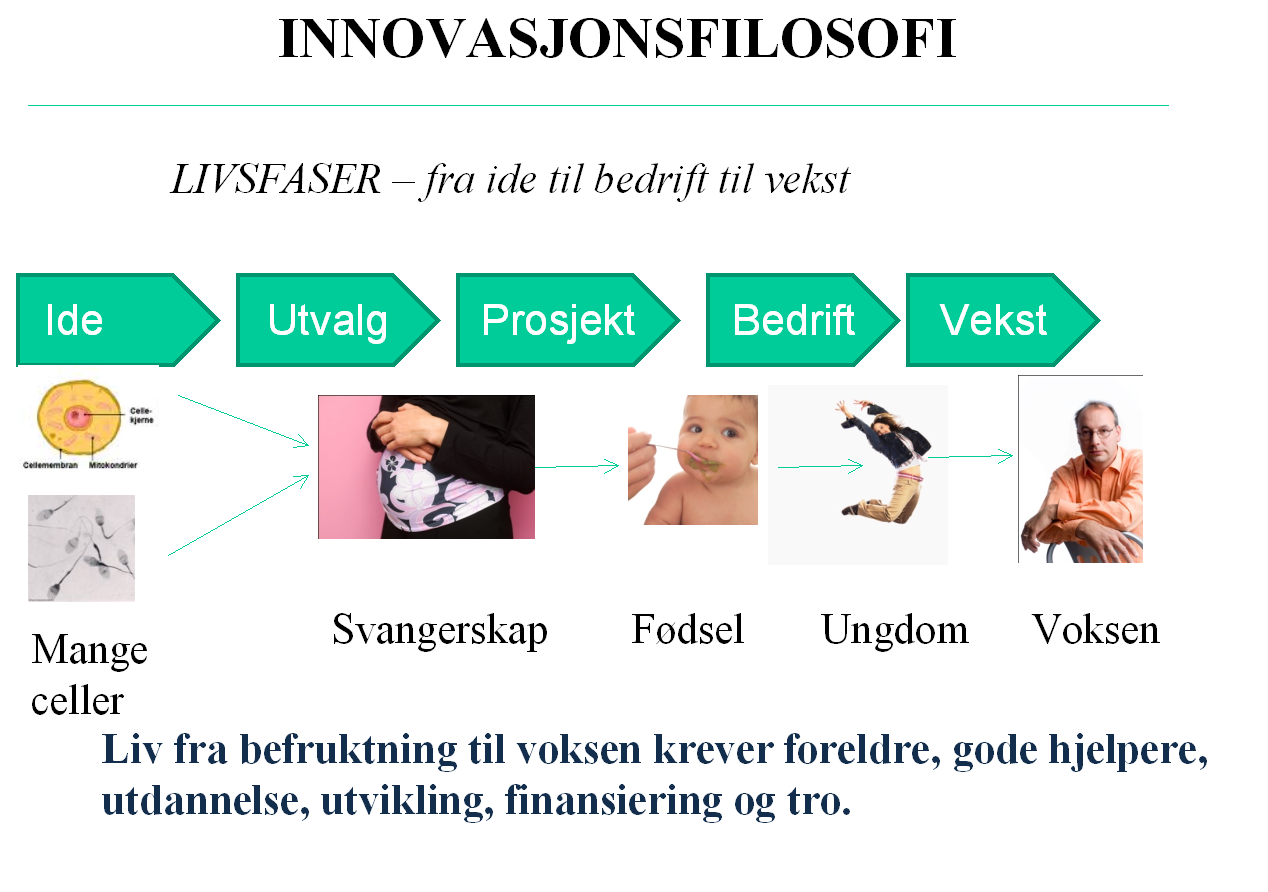 Figur 1. Livsfaser, kilde: SIVA Forskning gir nye ideer og løsninger som igjen kan bidra til økt innovasjon.