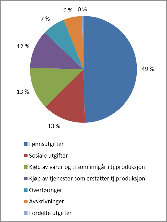 DRIFTSREGNSKAPET Hovedtrekk Hovedtrekkene i regnskapet for 2013: Bruttodriftsresultat er negativt med ca. kr 4,0 mill. Netto driftsresultat er negativt med ca. kr 432 000.