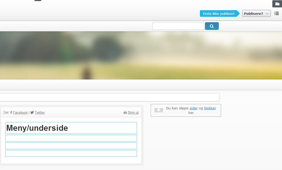 Når en har valgt side vil en få opp siden med felter som er klar til redigering. En kan velge om en vil legge inn tekst og bilde direkte eller om en vil gjøre dette i redigeringsmodus (felt 4. under).