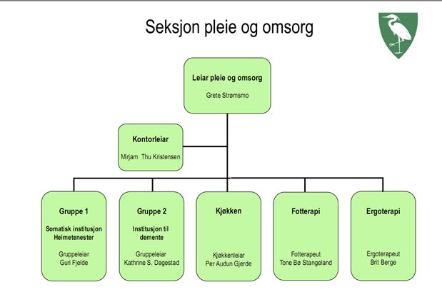 Vaskeri 1,0 Ergoterapi 1,0 Kjøkken 2,4 Fotpleier 0,2 Figur 2 Organisasjonskart over seksjon Pleie og omsorg (Kilde: Nettsidene til Forsand kommune).