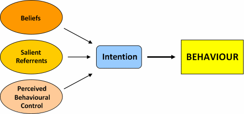 faktorer påvirker en handling eller en beslutning om valg av mat, og viser hvordan atferd kan forutses fra individets intuisjon med å utføre handlingen (Ajzen, 1991).