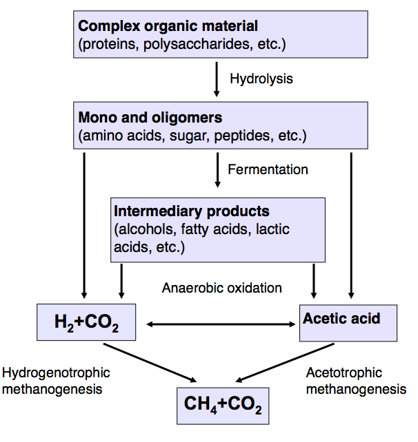 Innledning Figur 1. 1. Skjematisk fremstilling av nedbrytningen av biomasse til biogass (CO 2 og CH 4 ).