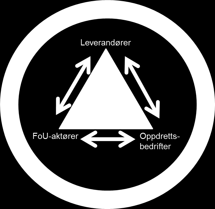 4 Generell beskrivelse Innen havbruksnæringen i Midt-Norge har man en unik næringsklynge som består av teknologiprodusenter, FoU-miljø, havbruksselskaper og finansieringsinstitusjoner.