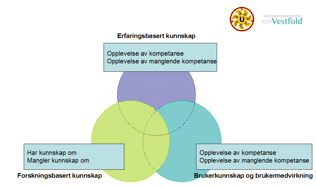 Figur 6 Modell for Kunnskapsbasert praksis Etter introduksjon til modellen i plenum fortsatte dialogen rundt bordene for å belyse områdene: 1) Erfaringsbasert kunnskap, 2) og Brukerkunnskap og