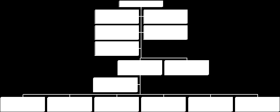 Figur 12: Overordnet organisering fase 1 (Kilde: Bjørlykke HBMN pres 5.4.