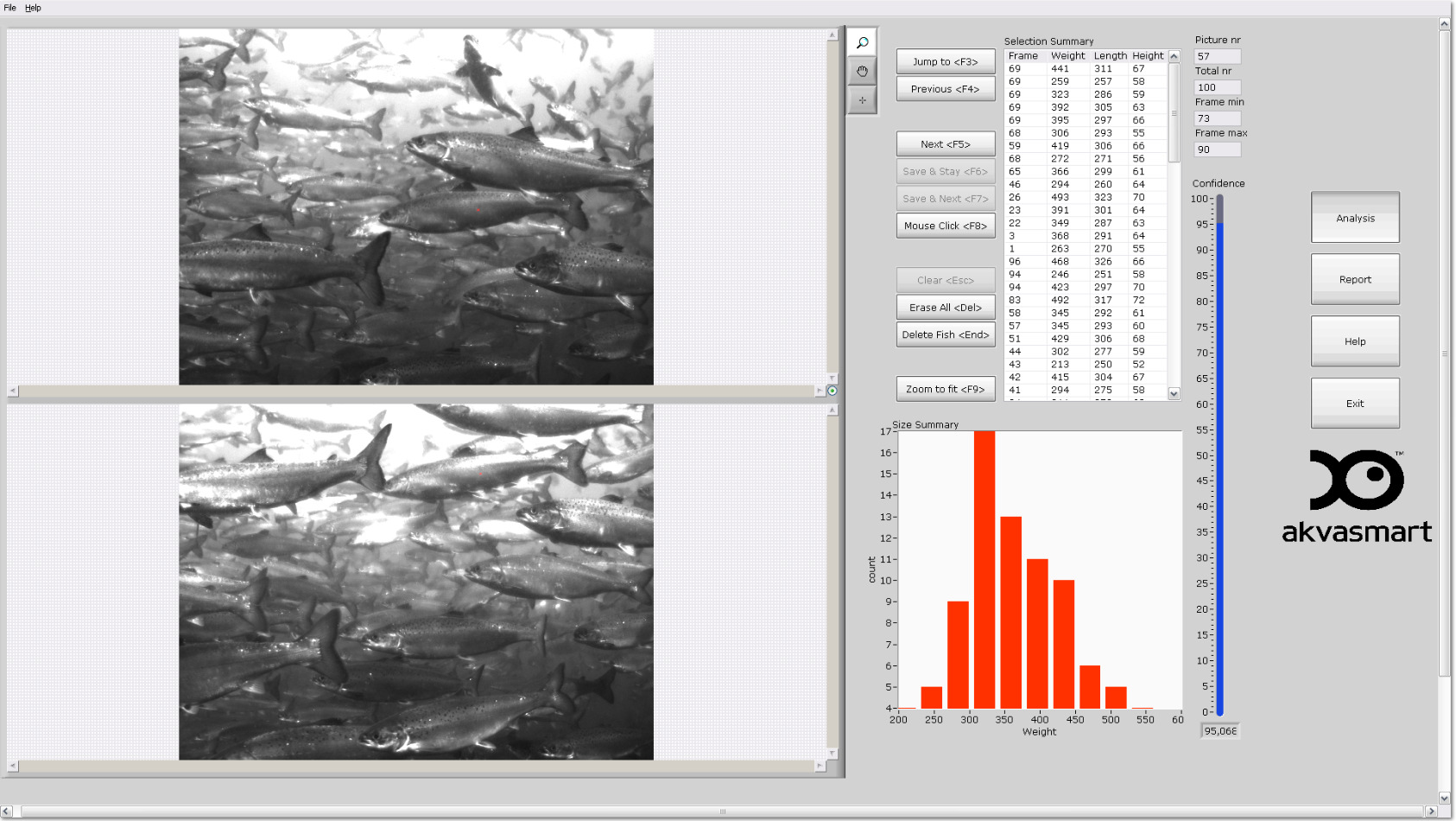 8.8 Oppsummering utvalg Når fisken måles, vil Vicass HD Analyse Software starte med å lage en