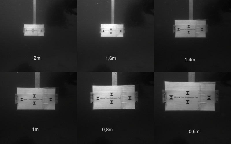 10 Kalibrering Dersom det er behov for å gjennomføre en test av kalibreringen benyttes vedlagt Calibration Fish plansje (som vist på bildet under).