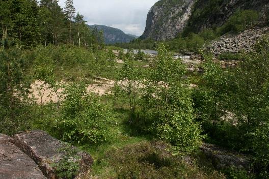 viser at området også er populært for båtbruk og kanopadling. Dette er også viktig å ivareta.