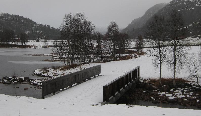 Figur 32: Bildet viser partiet der det er ønskelig å få etablert ei bru. Figur 33: Bilde viser tilsvarende bro som er ønskelig å etablere i Hønedalen. 6.2.2. Bro over Nessetfossen.