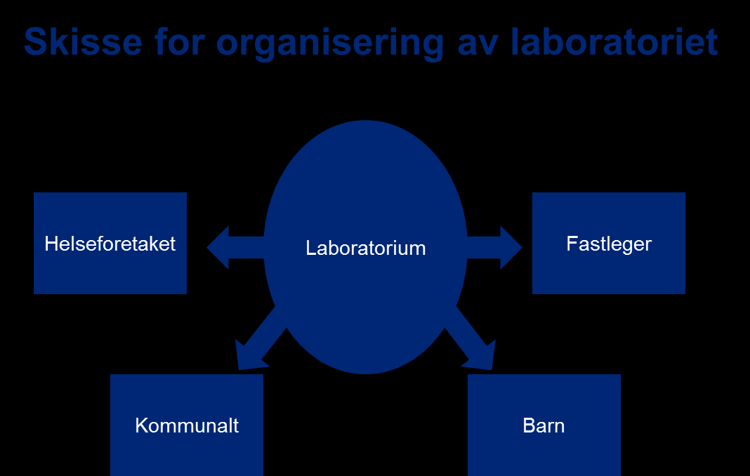 3. Organisering og alternative løsninger 3.