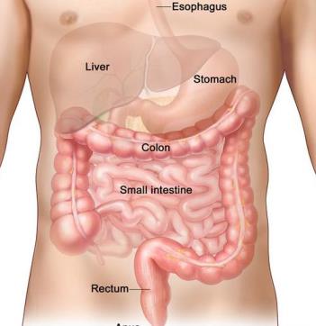 Kreftoverlevere, insidens og prevalens Kreftoverlevere: de som lever med en kreftdiagnose, også de som er blitt friske Kreft i verden i 2012: - Insidens kreftoverlevere: 14 mill - Prevalens