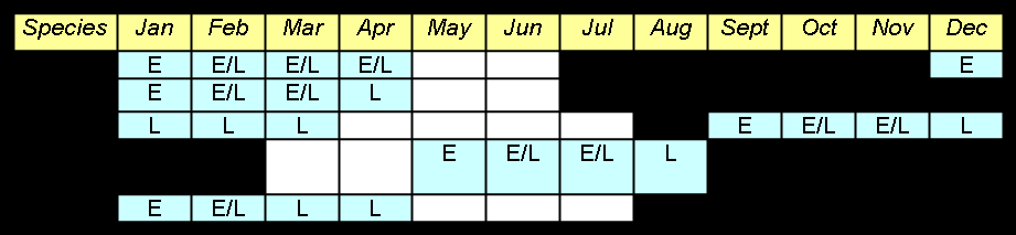 Figur 7.15 Tabell 7.10 Fordeling av gyteområder for Nordsjøtorsk (Ottersen et al, 2010). Trollfeltet er markert med kvadrat med kryss i. Gyting/klekking i gyteområdene er antatt å starte 1.