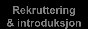 NY ORGANISERING AV HR HR-direktør Arbeidsgiverforhold Strategisk HR Rekruttering