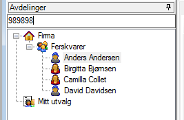 Alle kontakttyper er søkbare i søkefeltet i Persontreet.