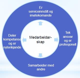 unge søkjer seg til yrket, er medverkande faktorar.