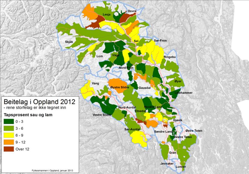 Som tidligere er de de 3-4 kommunene nord for Mjøsa som har hatt mest befatning med bjørn. Det er en økning i påviste skader av bjørn i 2013 i forhold til i 2012. Tabell.