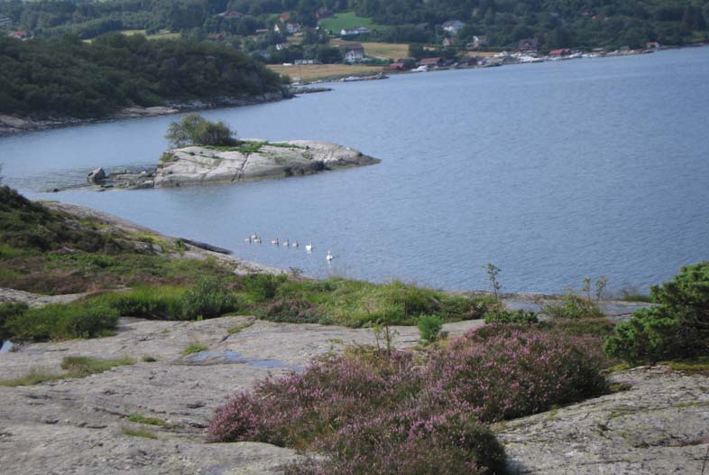 NOVEMBER IK. Høytrykkspyler, vernerunde hel seksjon. Jord prøver taes, leveres inn til Felles kjøpet. Årskontroll lekeplasser, barnehager og skoler Løvsamling. Brøyteutstyr sjekkes.