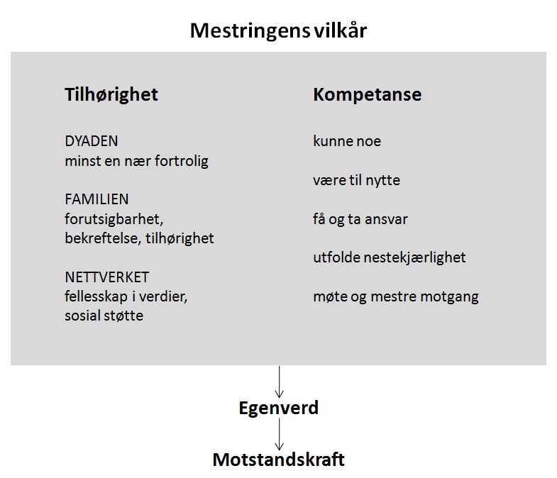 Figur 1. (Hilchen Sommerschild, 1998, s. 58). 2.