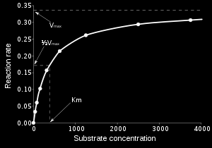 bygges opp(ms), og steady state, hvor [ES] er konstant over en kort stund. Michaelis-Mentens likning: forholdet mellom [S], V 0, V max og k 1, k -1 og k 2. Hvor K m er Michaelis konstant.