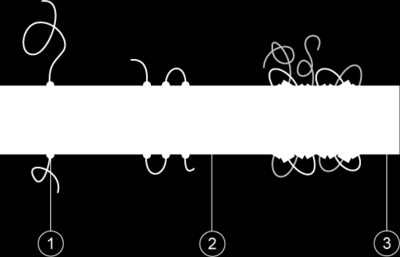 o o Peripheral membrane proteins: Knytter seg til de delene av integral membran proteinene som stikker ut. Dette gjør de vet svake, hydrofile bindinger. Kan også danne bindinger med lipidhodene.