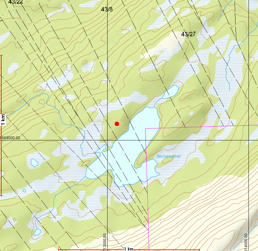 Fig.1 Oversiktskart Børingsvatnet med plassering (pil) Saksfremstilling: Område er i arealdelen i kommuneplanen regulert til LNF-område med nærhet til vassdrag.