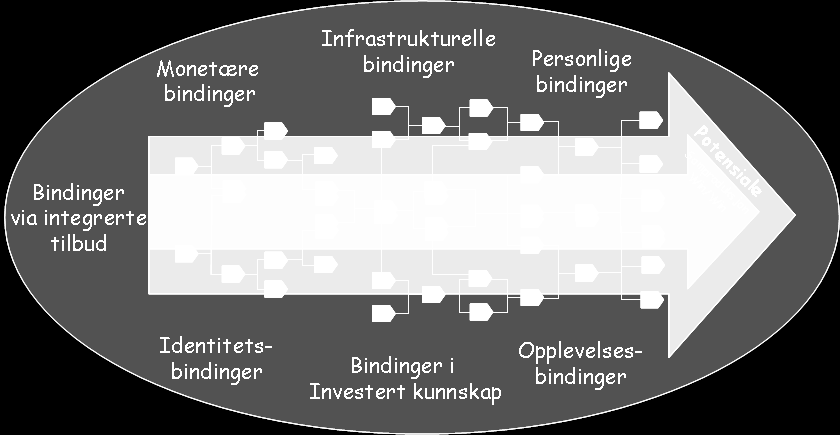 Diskusjonen om hvordan man skal gjøre kunden mer enn fornøyd er noe man må ta med seg i det strategiske arbeidet. Samspillet vil i en slik sammenheng bli helt vesentlig.