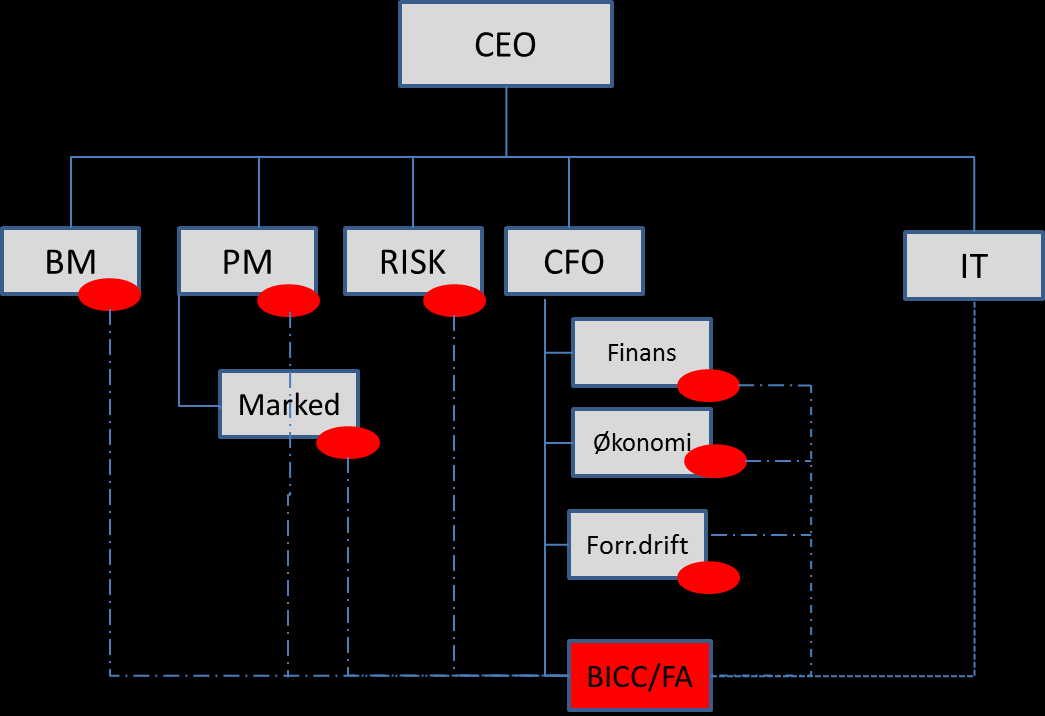 Organisering BICC rapporterer til