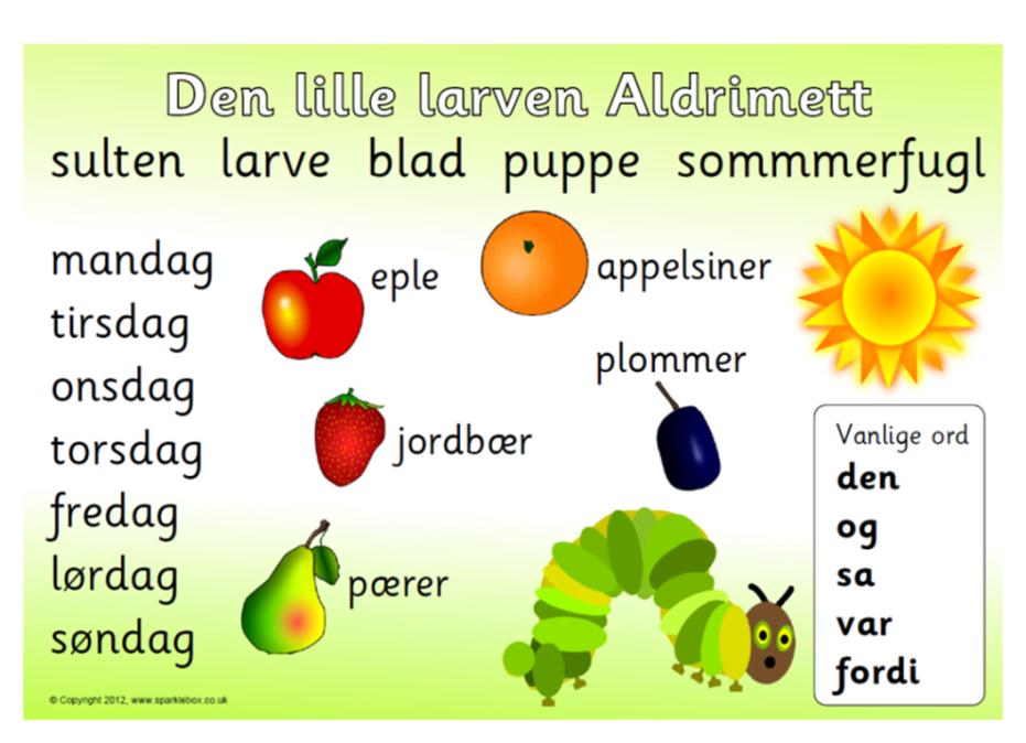 Fokus på ordkunnskap og begrep Dilemma: Hva skal vi bruke tiden på?