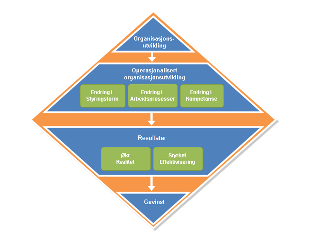 Virksomhetens ledelse Strategi Analyse