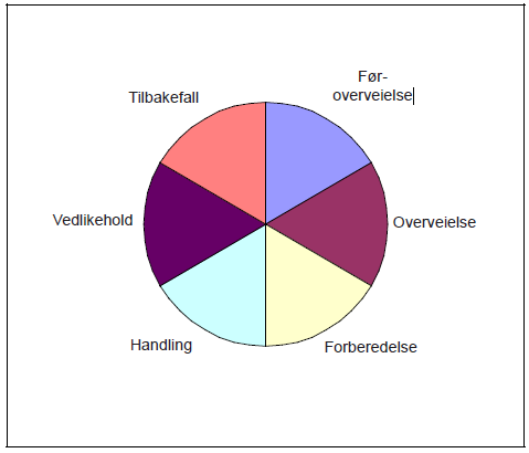 Med utgangspunkt i målet som er definert ovenfor, vurderer veileder deltakerens motivasjon til endring og finner ut hvor i endringshjulet vedkommende befinner seg.