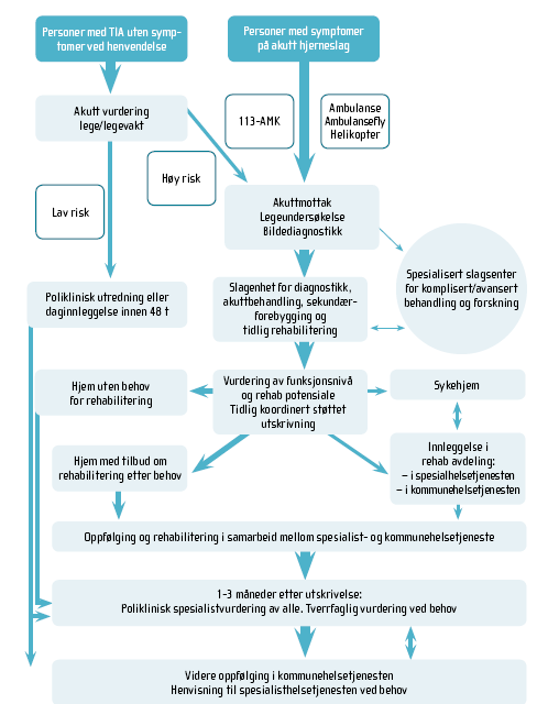 2.2 Slagbehandlingskjeda Organiseringa av behandlingskjeda er svært viktig for gode behandlingsresultat og er fokuset for denne planen.