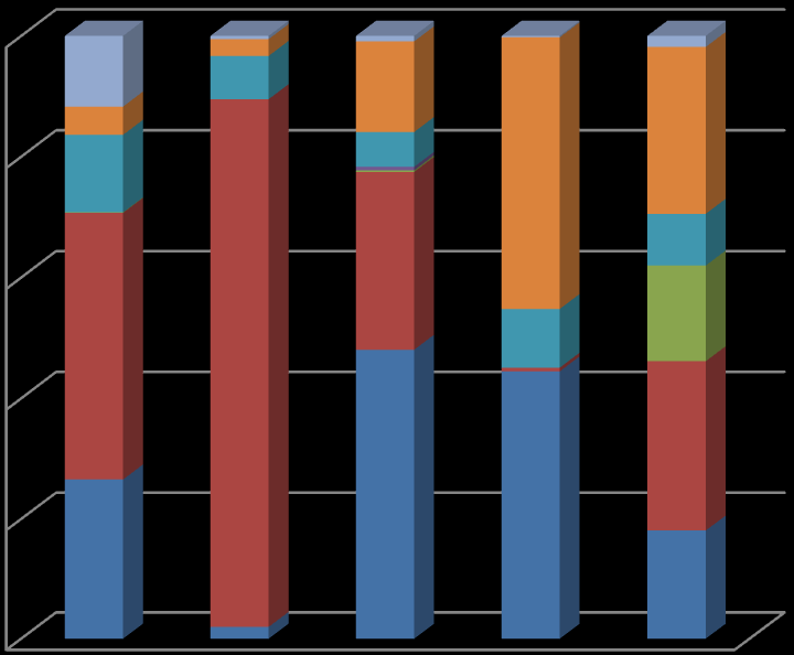 Det totale finansieringsbehovet for 2010 i forhold til investeringer og utlån var på 130,7 millioner kroner.