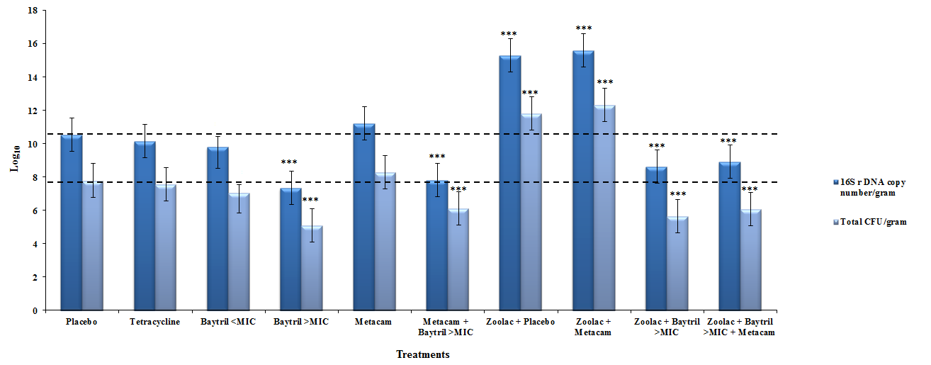 Figure 1. Kvantifisering av total tarmmikrobiota i jejunum. (Log10 16S rdna gen-kopi-tall/gram) og med tradisjonelle kultur teknikk (Log10 CFU/gram). Grafen viser gjennomsnitt og SEM. (***)p<0.001.