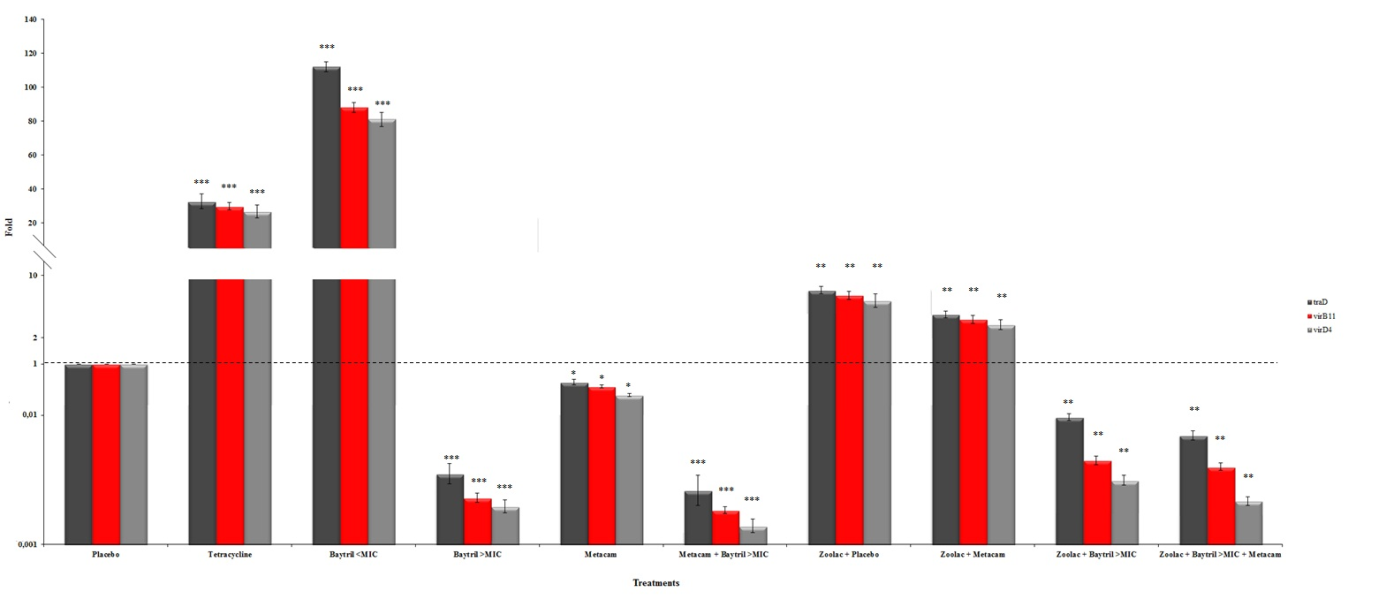 Figur 2. Relative blod-serum nivåer hos spedgrisene. Nivåene ble rapportert som fold forskjell i forhold til placebo-gruppen. Figuren viser SEM. (*)p<0.05, (**)p<0.01 og (***)p<0.