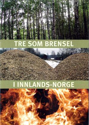 8.4 Mål, strategier og tiltak - Klimavennlig landbruk i Hemne Mål: Økt opptaket av CO2 Økt verdiskaping på foredling av bioenergiressurser Økt småkraftprosjektproduksjon Økt verdiskaping på småskala