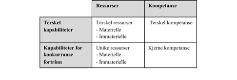 Sykkel AS- Strategianalyse av omgivelsene 25 snakker om kapabiliteter. Det første er at organisasjoner ikke er identiske, de har ulike kapabiliteter.